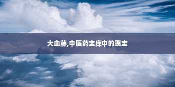 大血藤,中医药宝库中的瑰宝