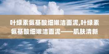 叶绿素氨基酸细嫩洁面泥,叶绿素氨基酸细嫩洁面泥——肌肤清新的秘密武器